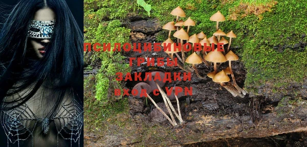 соль ск Алексеевка