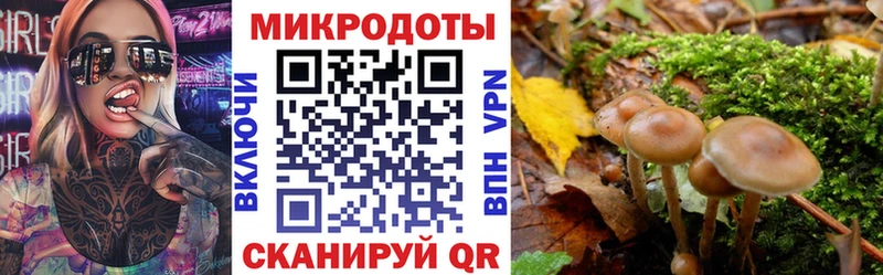 Псилоцибиновые грибы мицелий гидра маркетплейс Биробиджан где купить