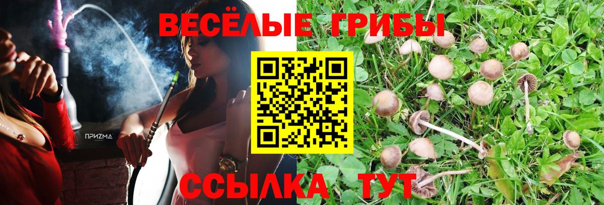 Псилоцибиновые грибы GOLDEN TEACHER  Вход с VPN  Биробиджан  Псилоцибиновые грибы ЛСД 