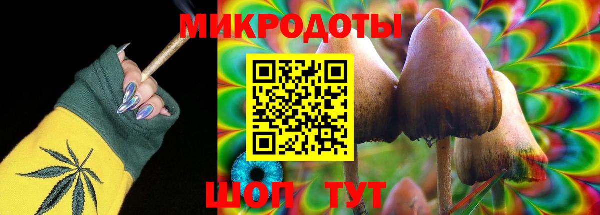 Псилоцибиновые грибы прущие грибы Биробиджан